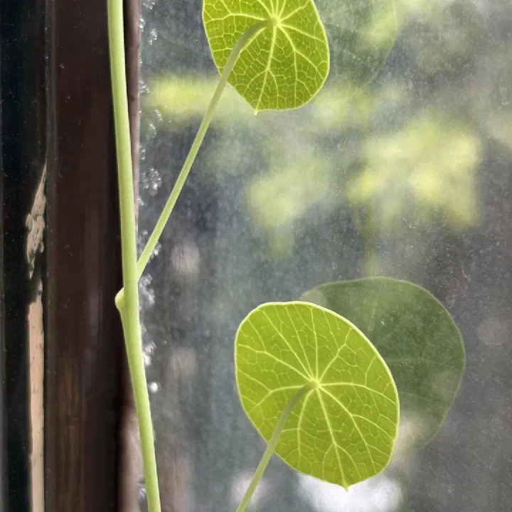 向怡植感生活 #01 #02